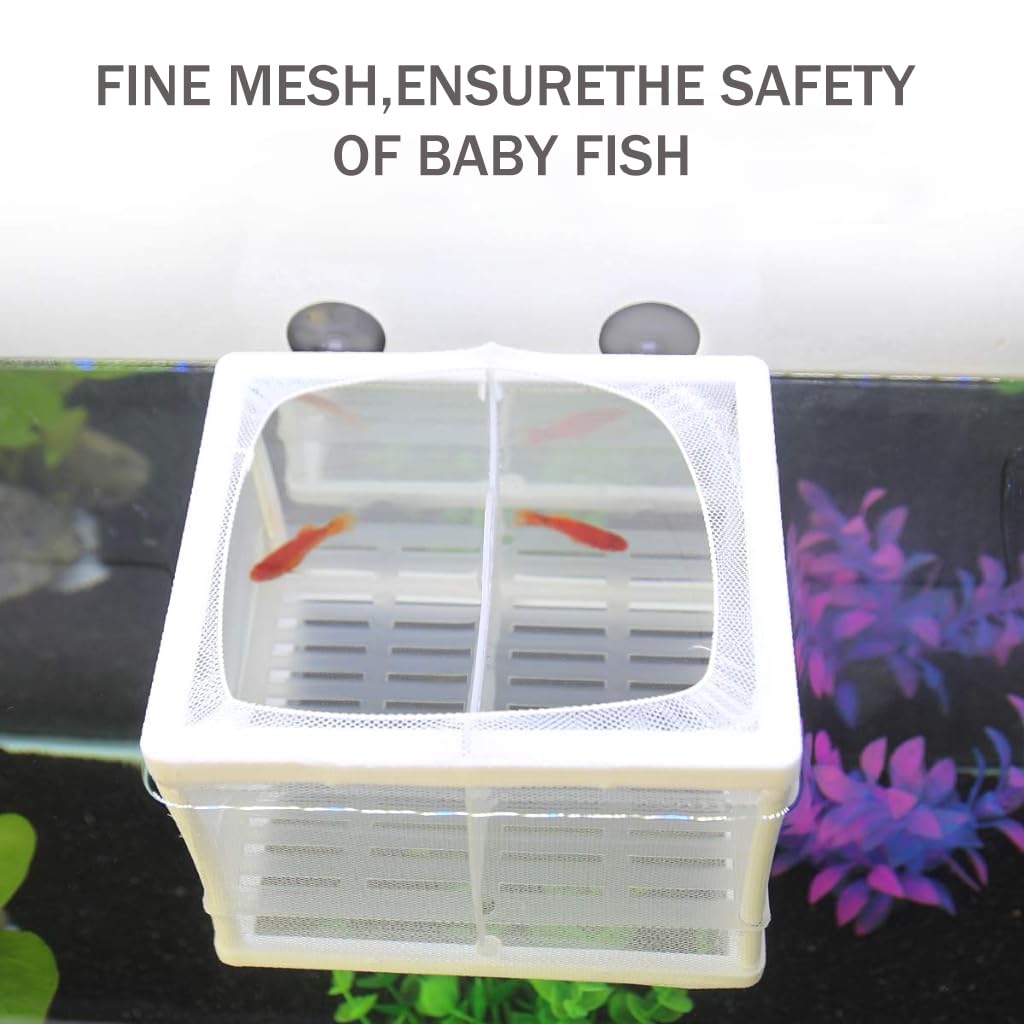 Qpets Small Aquarium Fish Tank, Fish Breeding Box Betta Fish Tank Nylon Mesh Fighter Isolation Box, Fish Fry Hatchery Box Fish Tank with Suction Cups & Isolation Panels (16x14x15CM)