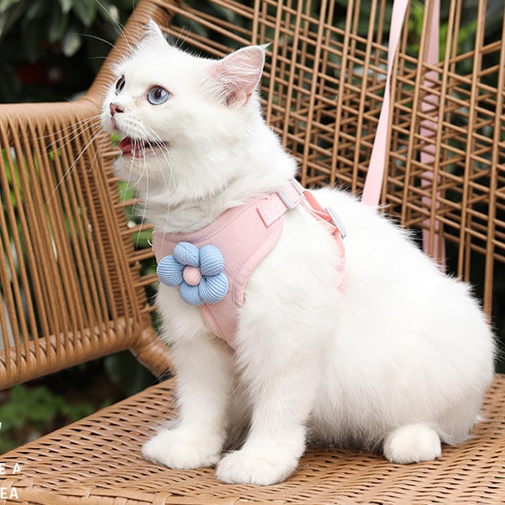 Qpets Cat Vest Harness with 1.2m Leash, Adjustable Cat Harness with Quick Release Buckle Breathable Fabric Cute Cat Harness (Min 2KG - Max 5KG)