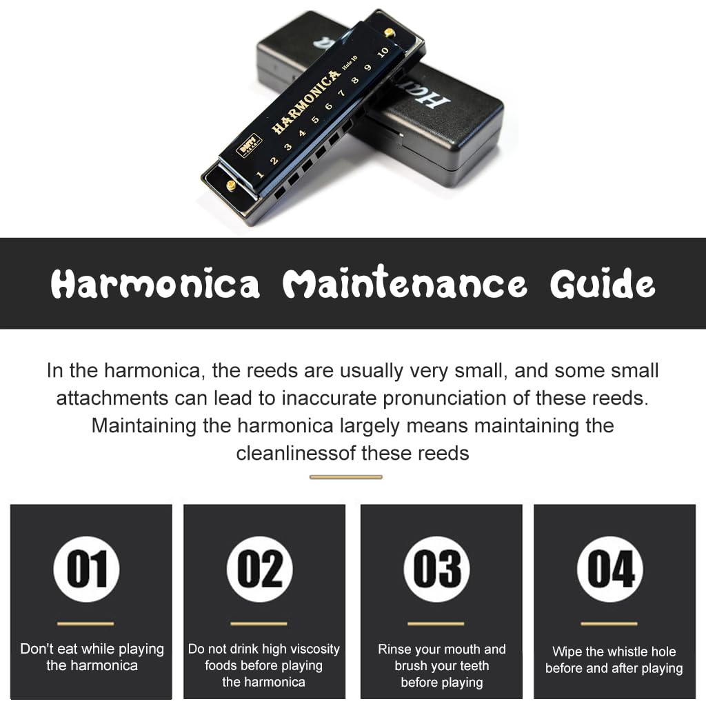 HASTHIP Harmonica Mouth Organ Musical Instrument Titanium Copper Core Harmonica C Key 10 Hole 20 Tone for Beginners Durable Clear Sound, Birthday Gifts for Kids Adults, Suitable for Blues Folk, Black