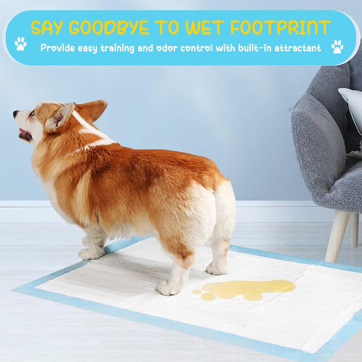 Qpets 20 PCS Dog Pee Pads Dog Diapers Pet Puppy Training Changing Pads Breathable Pet Pee Mats