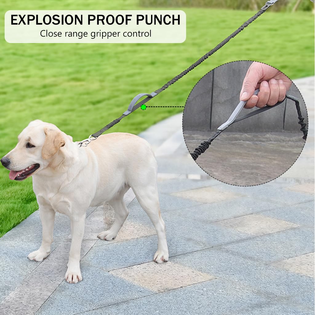 Qpets Dog Training Leash, Dog Leash Pet Belt with Sponge Handle for Dog, Nylon Bungee Pet Leash for Samll Medium Large Dog - Natural 1.25m/Stretching 1.9m