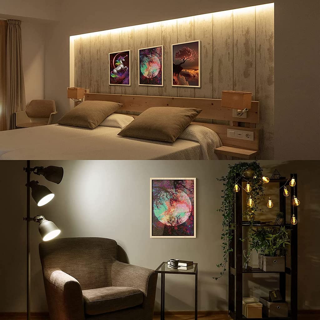 HASTHIP DIY Diamond Painting Kit, Fashion Outline Diamond Painting Kit Diamond Painting Wall Decor DIY Diamond Painting Kit Art DIY Diamond Painting Gift, 11.8x15.7 Inches