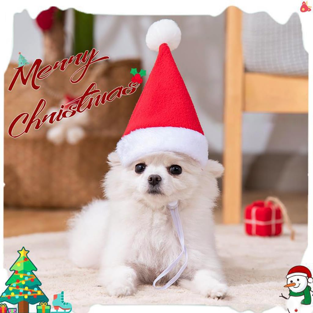 Qpets Christmas Costume for Cat Red Christmas Hat & Scarf for Cat Christmas Dressing Accessory for Cat Puppy, L