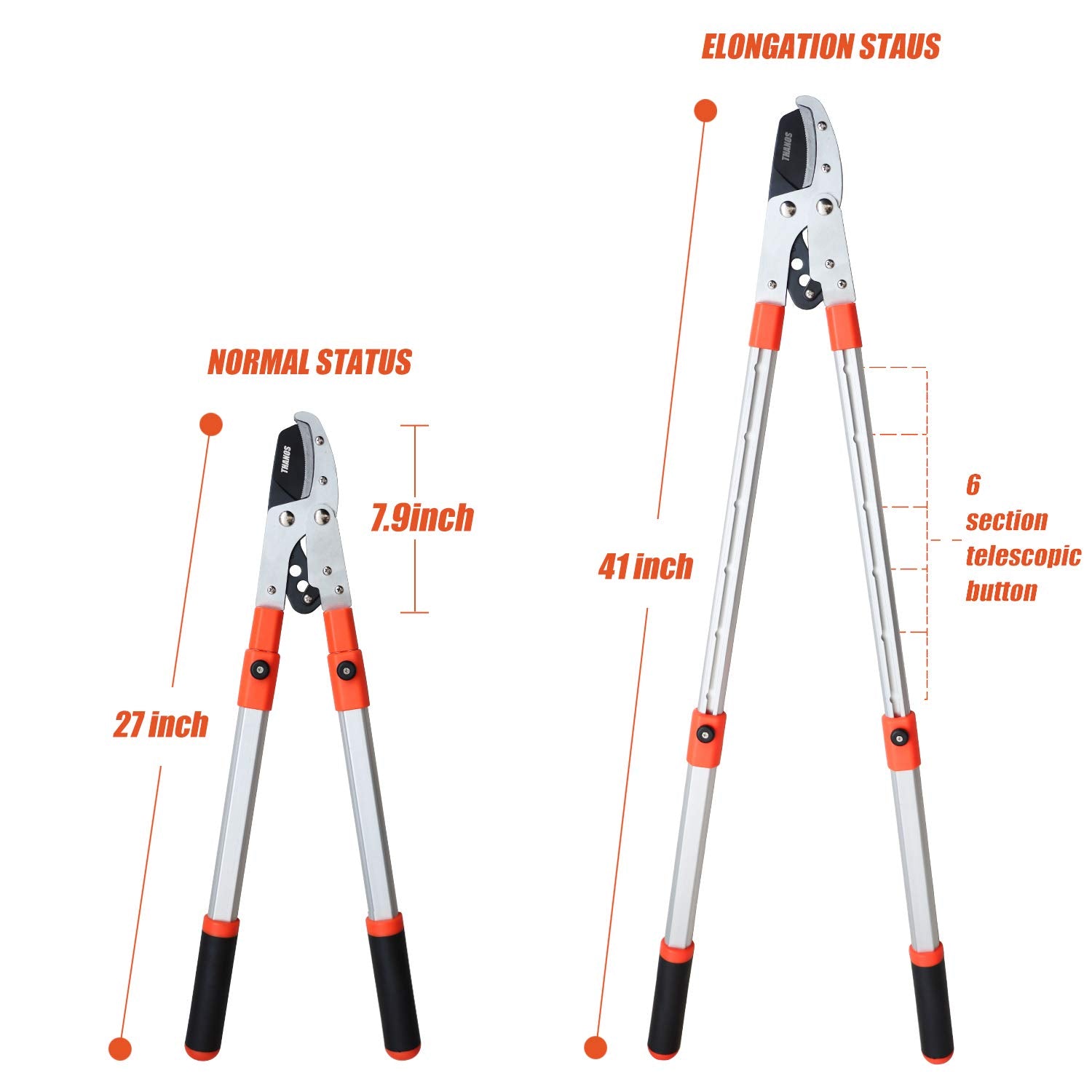 HASTHIP Branch Cutter for Tree with 28-40'' Telescopic Handle and Compound Action, Professional Heavy Duty Bypass Lopper, SK5 Steel Blade Tree Trimmer, 2 inch Clean Cut Capacity