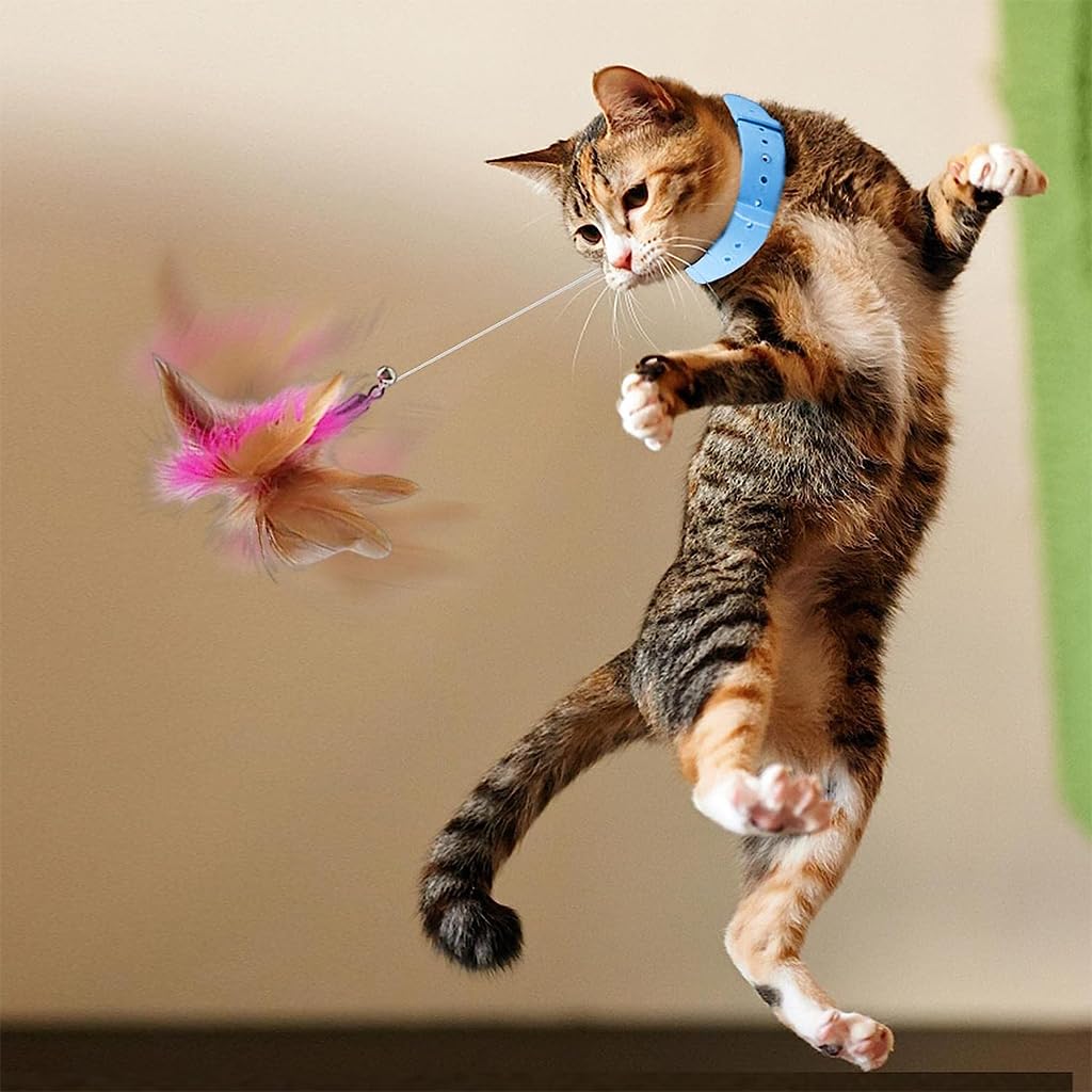Qpets Cat Teasing Toy Feather Teasing Wand Toy Wearable Collar Cat Teasing Toy with Bell and Feather Cat Self-Entertainment Toy Boredom-Buster Toy