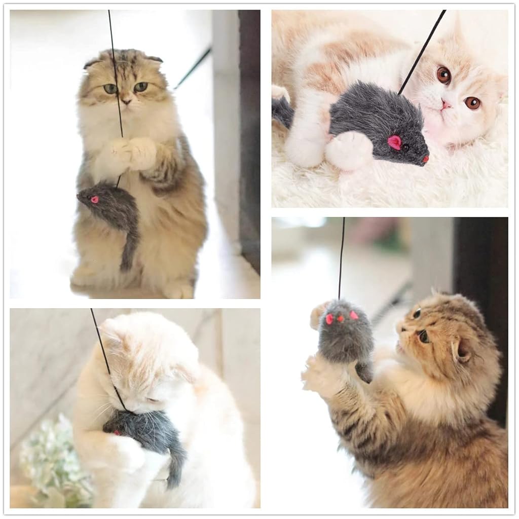 Qpets® Cat Teaser Combo – Hanging Cat Feather with Plush Mice Pendant & Suction Cup Teaser Wand, Interactive Elastic Rope Cat for Indoor Kittens, Persian Cats