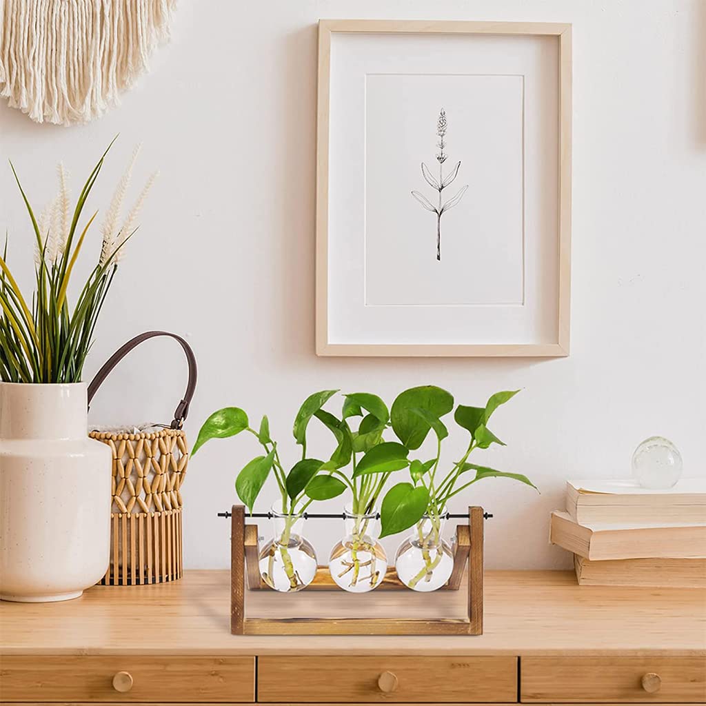 HASTHIP 3Pcs Hydroponics Glass Planter with Wooden Stand for Desktop Table Decor Home Office, Plant Terrarium, Air Planter Bulb Glass Vase for Propagating Money Plant, Flower and More