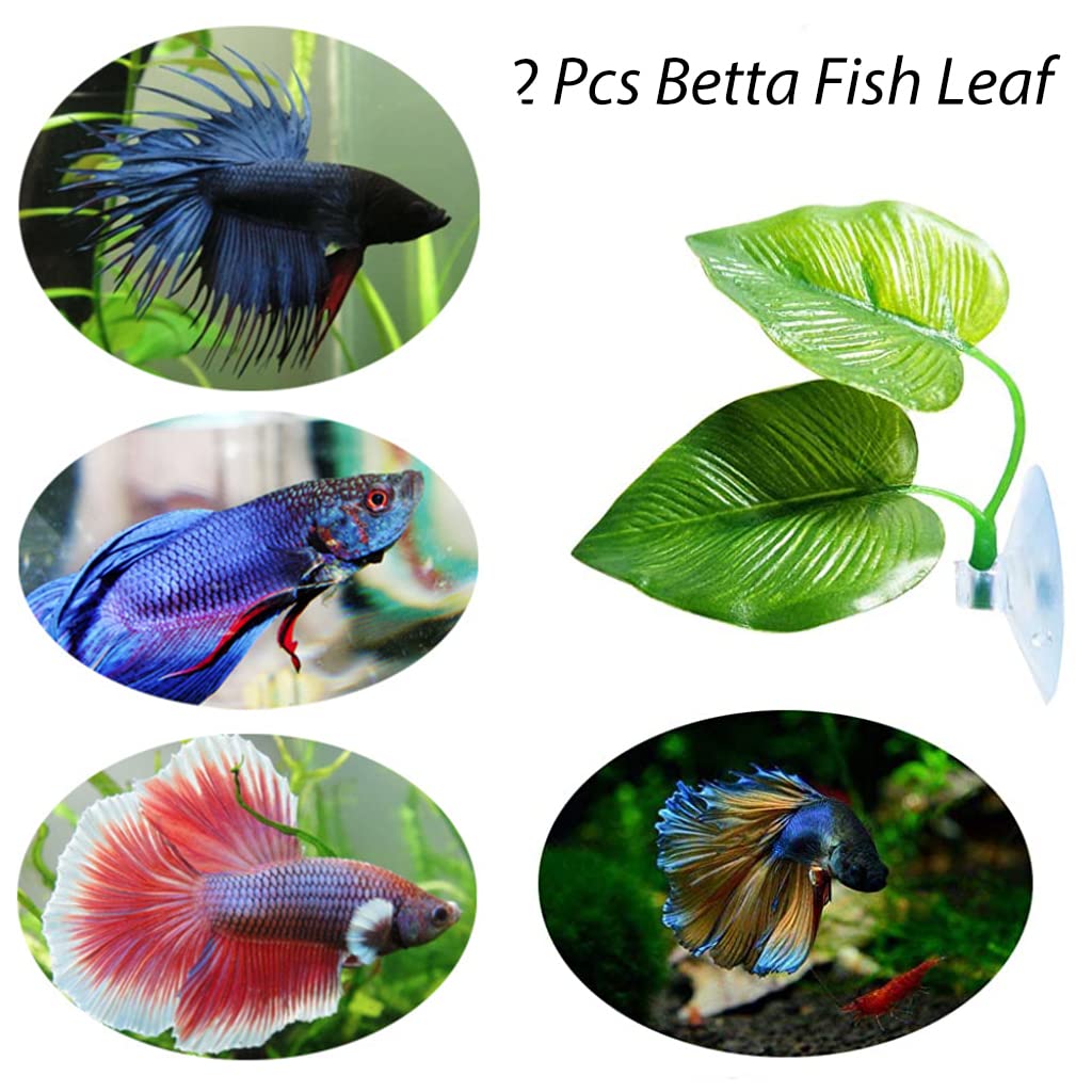 Qpets 2 Pcs Betta Fish Leaf Pad Realistic Rest Leaf Improves Betta's Health by Simulating The Natural Habitat Spawning Area Rest Area for Fish Aquarium