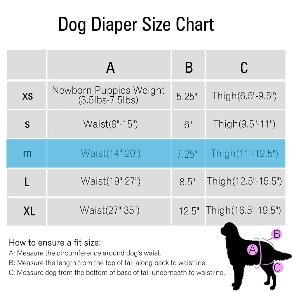 Qpets 2 Pcs Pet Use Soft Reusable Female Dogs Diapers 120ml Water Absorbption Comfort Reusable Doggy Diapers for Female Dog, Puppy(M,Recommended Waist 14''-20'')