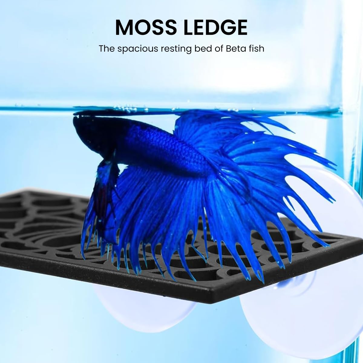 Qpets Betta Fish Tank Accessories Decoration with Suction Cup, Fish Hide Cave Tunnel Plastic Mesh Fish Tank Landscape Decoration Ornament - 2Pcs