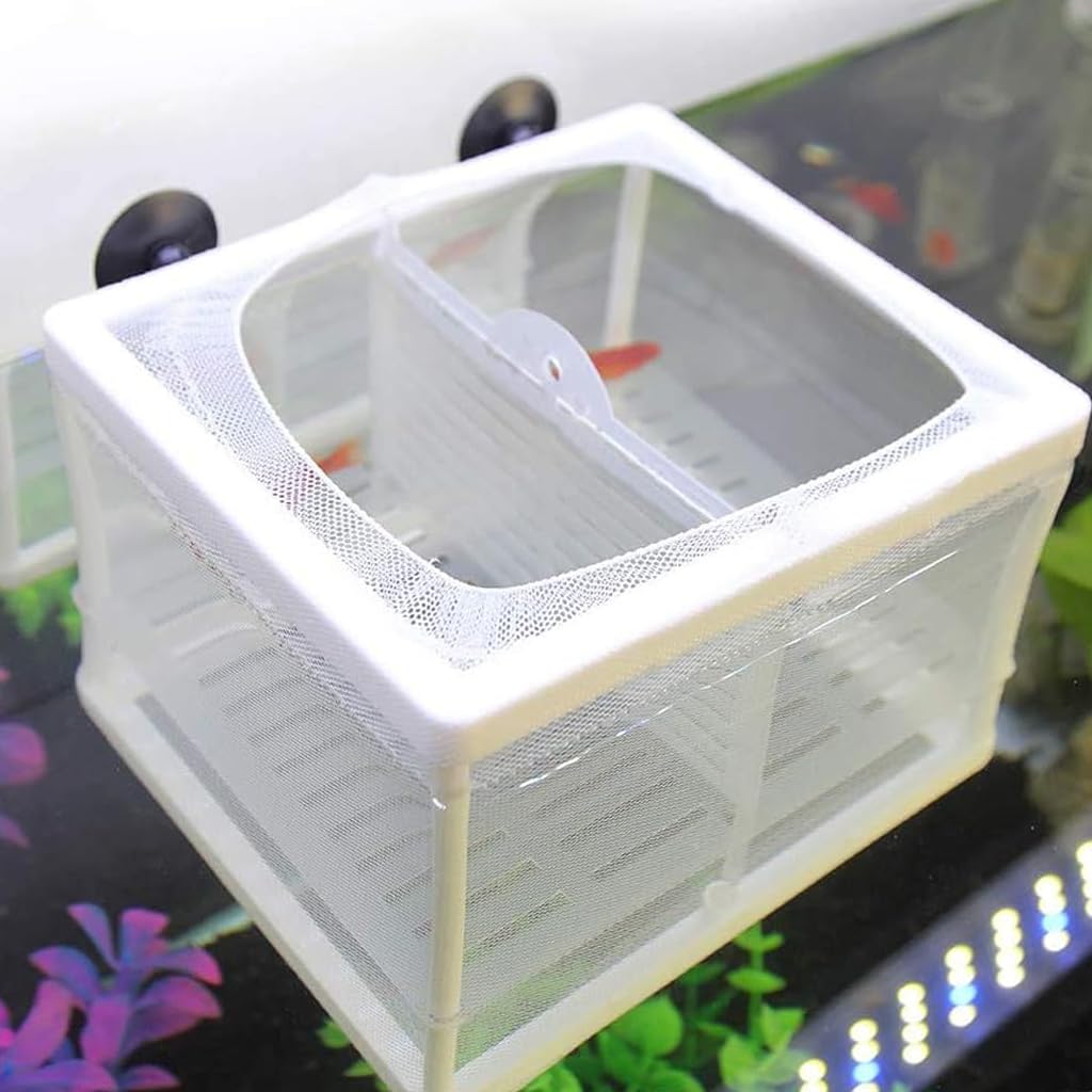 Qpets Small Aquarium Fish Tank, Fish Breeding Box Betta Fish Tank Nylon Mesh Fighter Isolation Box, Fish Fry Hatchery Box Fish Tank with Suction Cups & Isolation Panels (16x14x15CM)
