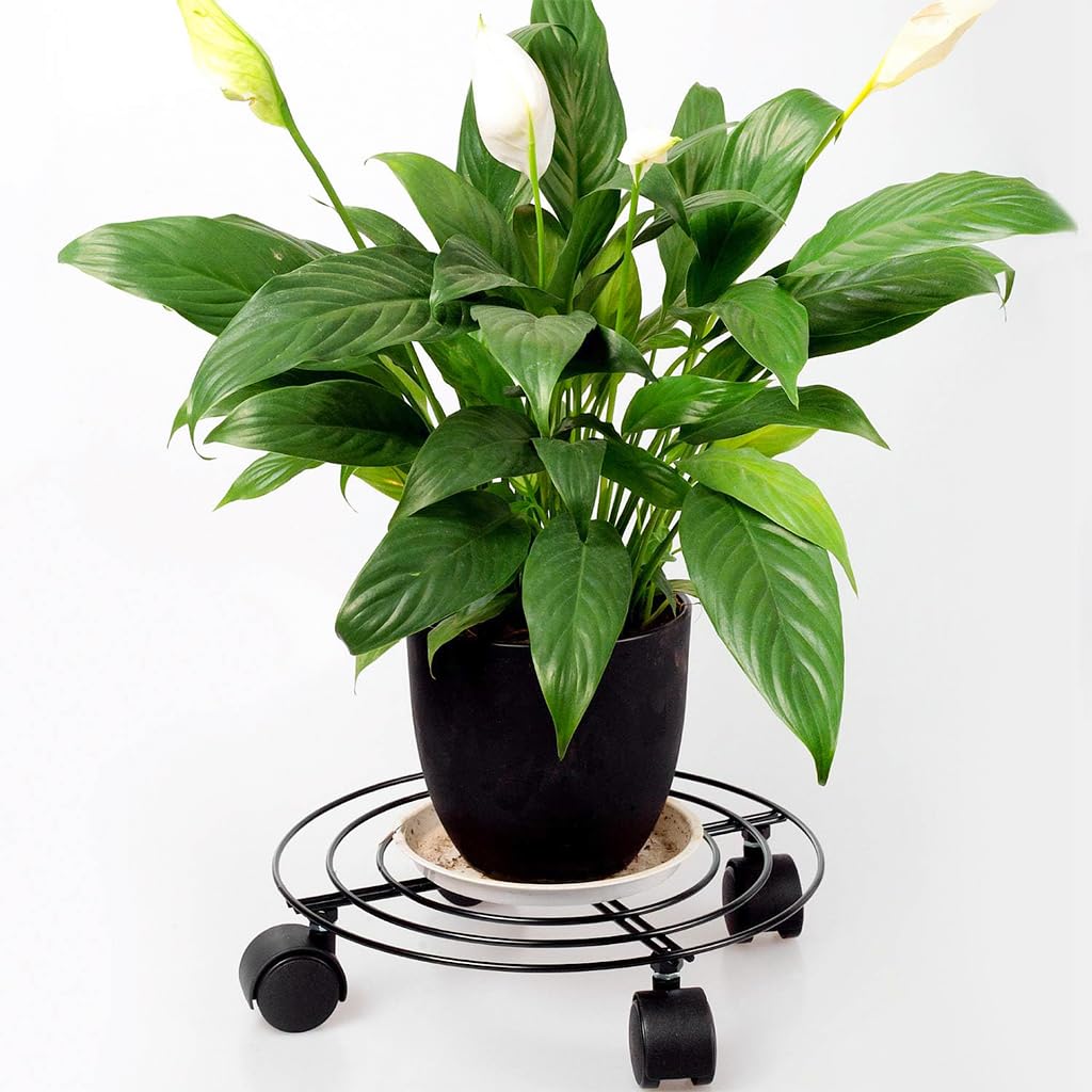 HASTHIP Plant Caddy On Wheel 10.6 inches Coil Wire Round Metal Plant Stand with Brake Wheels 360 Degree Moving Plant Caddy On Wheel Planter Stand Metal Plant Stand for Outdoor Indoor