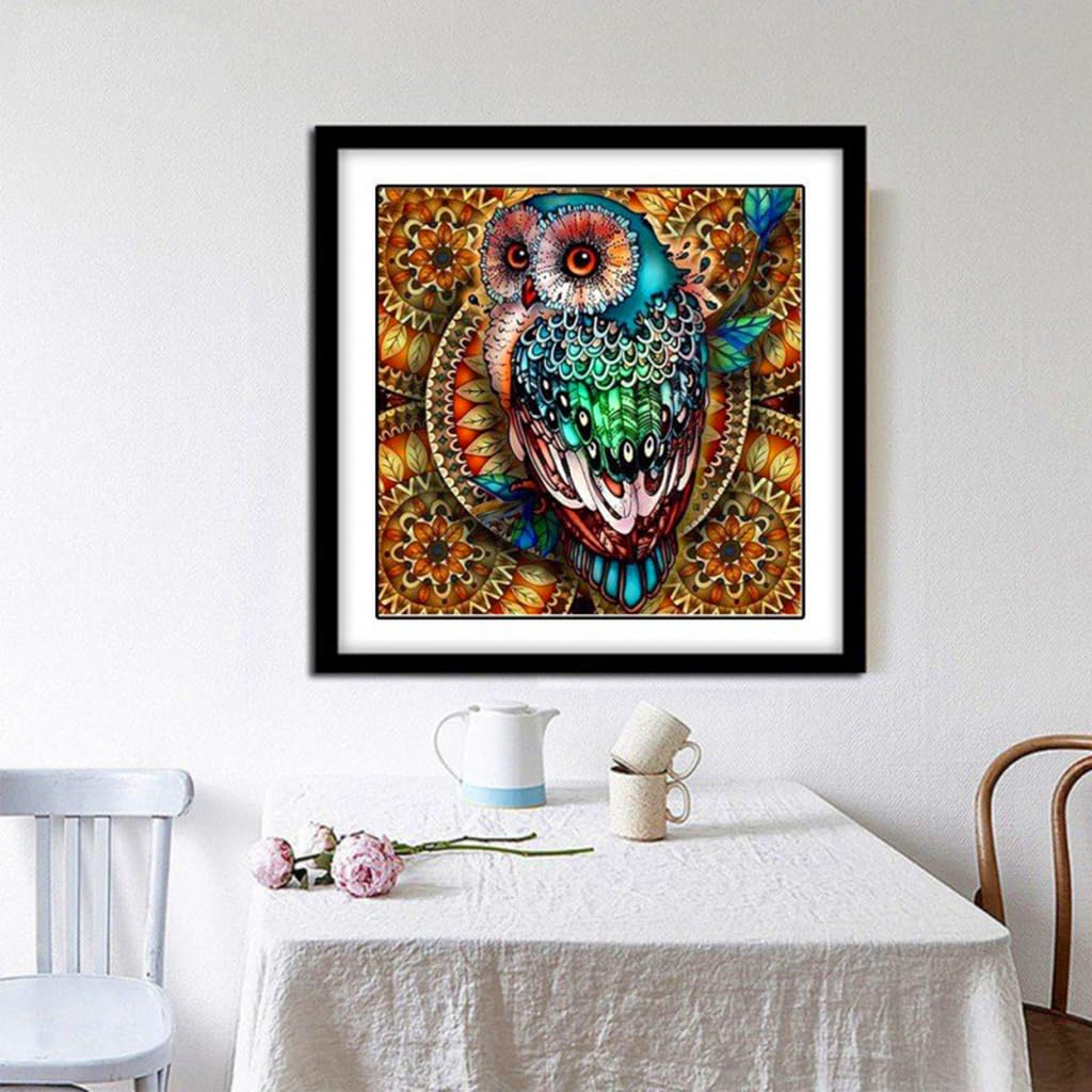 HASTHIP Diamond Painting Kit, 5D Diamond Painting Kit for Adults & Kids, 30 * 30cm Owl Full Drill Rhinestone Embroidery Cross Stitch Pictures Arts Craft for Home Wall Decor (Mandala)