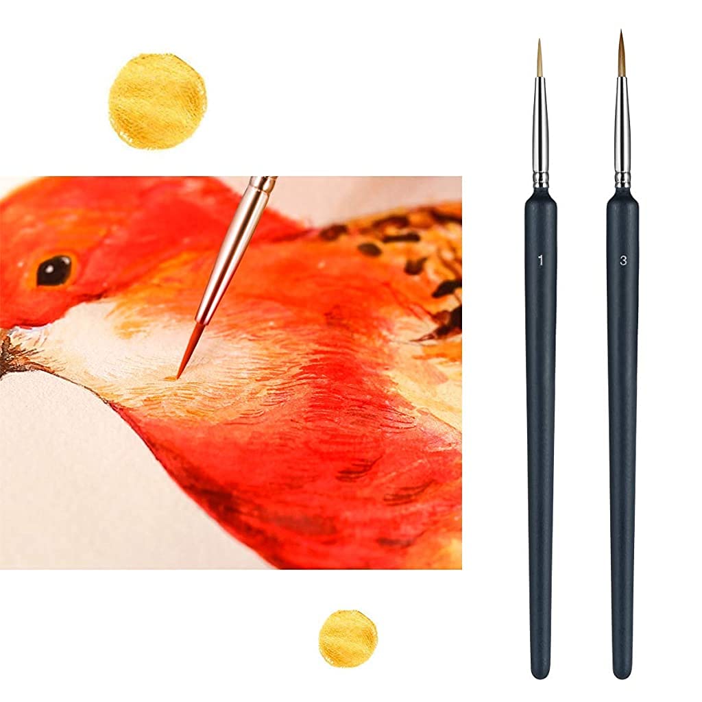 HASTHIP 10 Pieces Fine Detail Paint Brush Miniature Painting Brushes Kit Mini Paints Brush Set for Acrylic, Watercolor, Oil, Face, Nail, Scale Model Painting, Line Drawing(Black)