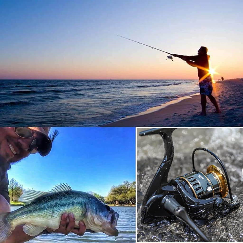 Proberos Spinning Fishing Reel Heavy Duty Metal Spinning Fishing Reel Left/Right Interchangeable Metal Shaft Handle Smooth 11BB 5.2: 1 Gear Ratio for Inshore Boat Rock Freshwater Sea Fishing