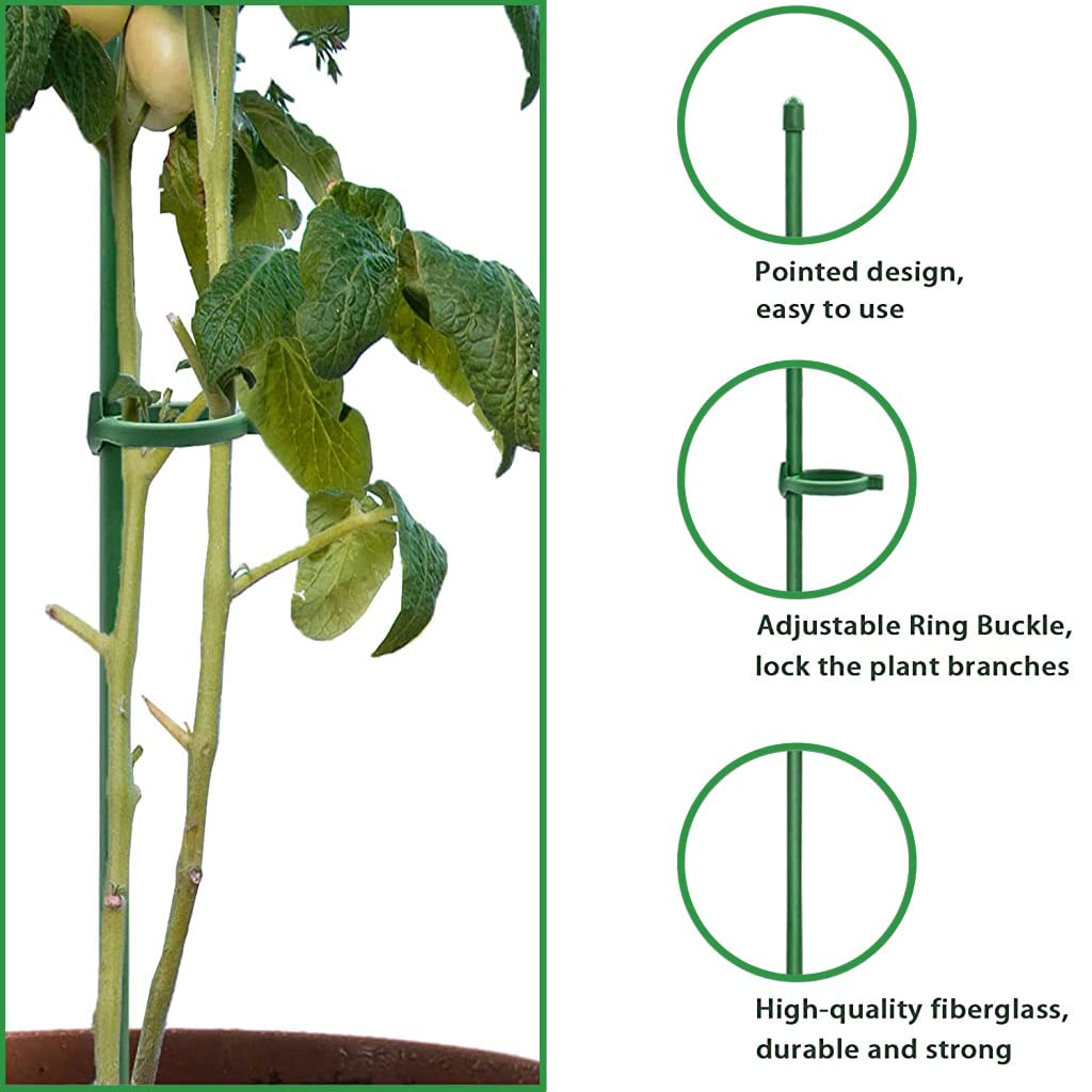 HASTHIP 10pcs Plant Stakes Suport, Reusable Palstic 30cm Plant Stake Flower Support Stake Rings, Adjustable Plant Support Sticks for Phalaenopsis Orchid Single Stem Flowers Amaryllis Peony Lily