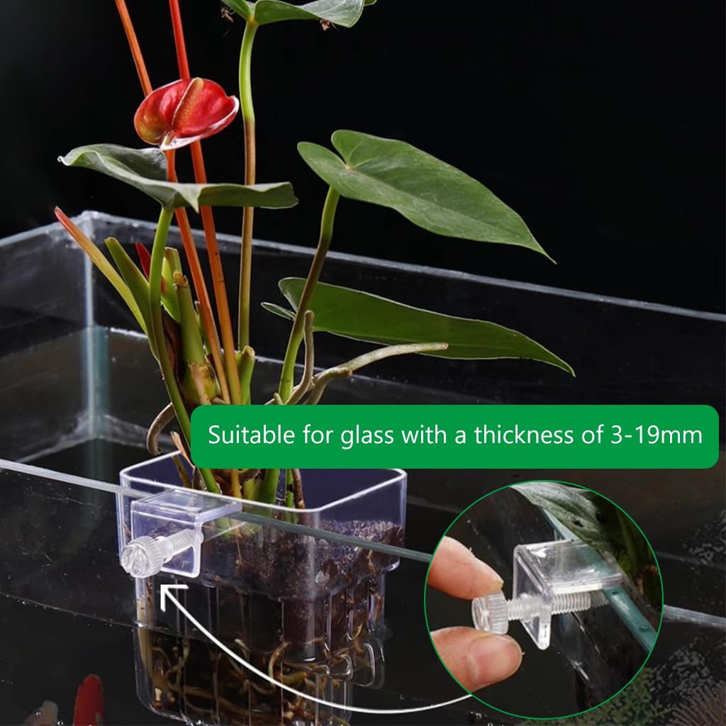 Qpets Wall-Mounted Aquarium Plant Holder, Aquarium Stand Plant Holder Cup Pot, Acrylic Plant Basket for Glass Aquarium Fish Tank with Screw Fixed & Draining Holes (8 * 8 * 5.7CM)