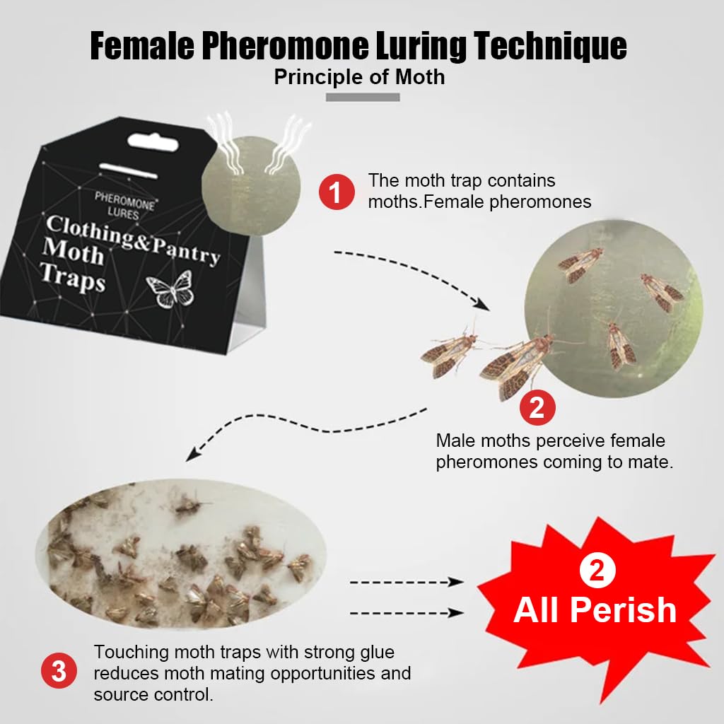 HASTHIP 5Pcs Lightweight Moth Traps - Fly Killer Repellent for Home - Moth Balls & Traps for Home Use - Moth Treatment & Prevention (Non-Toxic) - Moth Traps for Clothes & Pantry