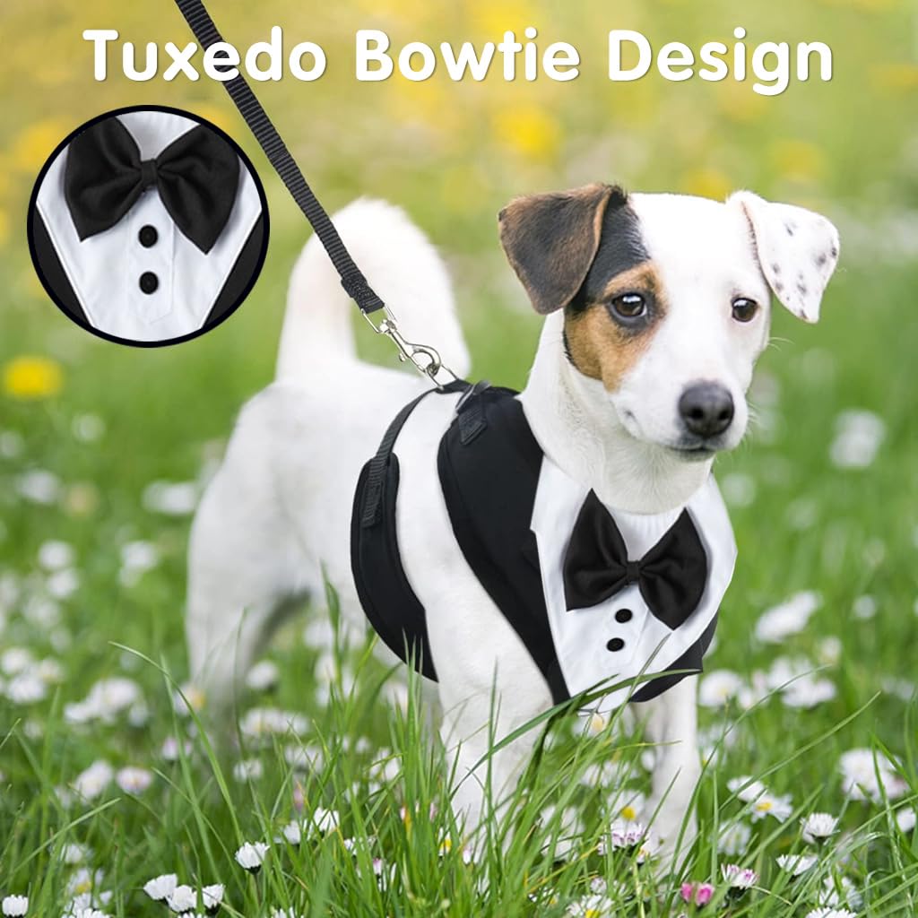 Qpets Dog Tuxedo Harness, Fashionable Dog Tuxedo Harness Set with Traction Rope and Chest Harness, Dog Vest Pet Suit Holiday Dress Puppy Kitten Wearing, S