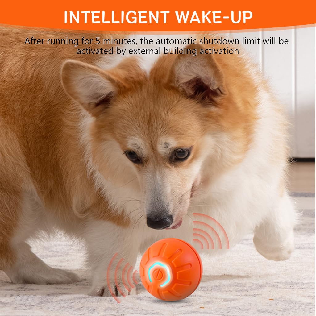 Qpets Dog Ball Puppy Essentials