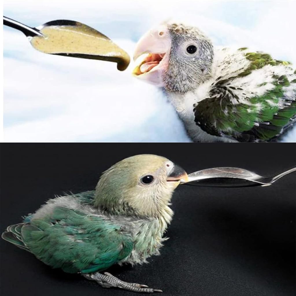 Qpets® Baby Parrot Feeding Spoons, Metal Bird Feeder Spoons, Narrow Tip Design for Hand-Feeding Small Birds (2Pcs)