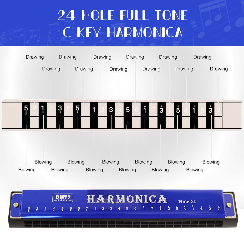 HASTHIP Harmonica, Blues Harmonica Key of C, Blues Folk Mouth Organ Harmonica 24 Holes 48 Tones Standard Harmonica For Adults, Professionals, Beginners and Students