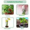 HASTHIP 10pcs Plant Stakes Suport, Reusable Palstic 30cm Plant Stake Flower Support Stake Rings, Adjustable Plant Support Sticks for Phalaenopsis Orchid Single Stem Flowers Amaryllis Peony Lily HASTHIP 10pcs Plant Stakes Suport, Reusable Palstic 30cm Plant Stake Flower Support Stake Rings, Adjustable Plant Support Sticks for Phalaenopsis Orchid Single Stem Flowers Amaryllis Peony Lily