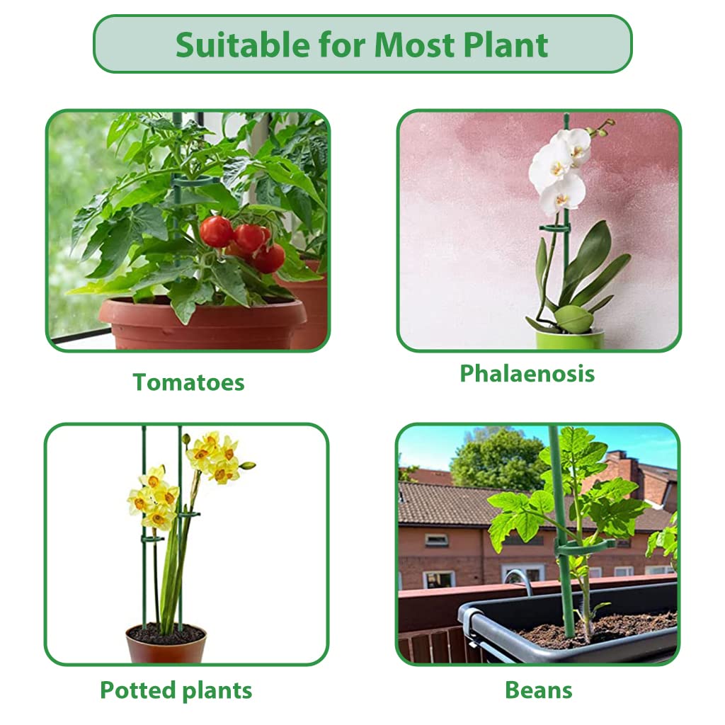 HASTHIP 10pcs Plant Stakes Suport, Reusable Palstic 30cm Plant Stake Flower Support Stake Rings, Adjustable Plant Support Sticks for Phalaenopsis Orchid Single Stem Flowers Amaryllis Peony Lily