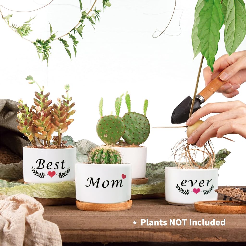 HASTHIP 3Pcs Ceramic Planters for Succulent with Wooden Tray & Gift Box, 3.1'' Small Ceramic Pot for Balcony Home Indoor & Outdoor, Highly Durable Succulent Pots