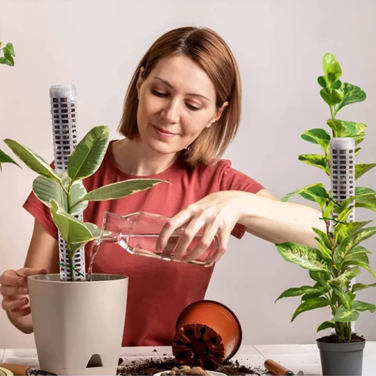 HASTHIP 2pcs 25cm Moss Stick for Plants with 5 Lables and 1 Roll Velcro, Plastic Plant Stakes and Supports for Money Plant, Climbing Indoor Plants