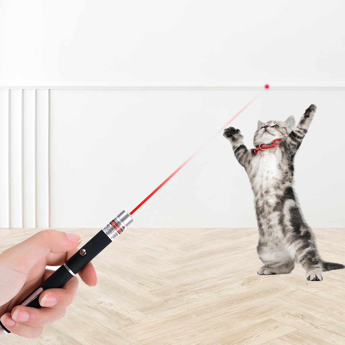 Climberty 3Pcs Laser Light LED Cat Chasing Laser Pointer Pens, Red/Green/Purple Light Dogs Pet Laser Light, Indoor Interactive Chase Cats Lazer Light Pointer Pen (Without Battery)