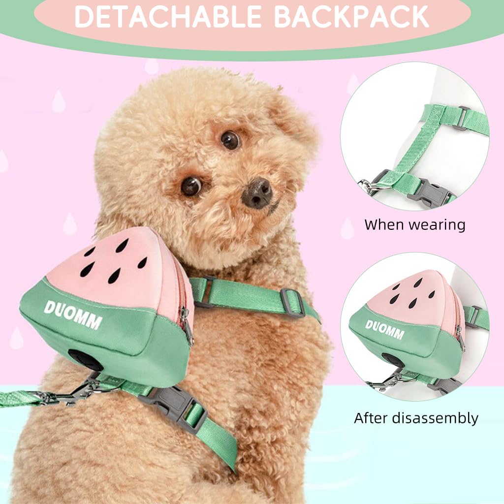 Qpets® Dog Harness Vest, Cute Puppy Dog Harness with Removable Zipper Pouch & Dog Leash, 4-Way Adjustable Dog Vest Harness Quick Release for Small Dog Cat Harness, S