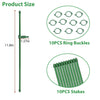 HASTHIP 10pcs Plant Stakes Suport, Reusable Palstic 30cm Plant Stake Flower Support Stake Rings, Adjustable Plant Support Sticks for Phalaenopsis Orchid Single Stem Flowers Amaryllis Peony Lily HASTHIP 10pcs Plant Stakes Suport, Reusable Palstic 30cm Plant Stake Flower Support Stake Rings, Adjustable Plant Support Sticks for Phalaenopsis Orchid Single Stem Flowers Amaryllis Peony Lily
