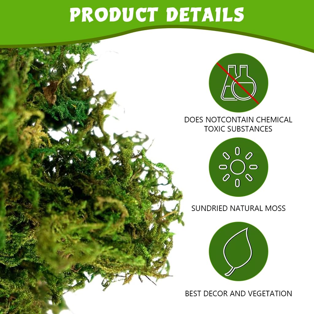 HASTHIP Artificial Moss, Fake Moss for Crafts, Decorative Moss for Table Centerpieces Fairy Garden Wedding Party Decor, Faux Moss for Potted Plants