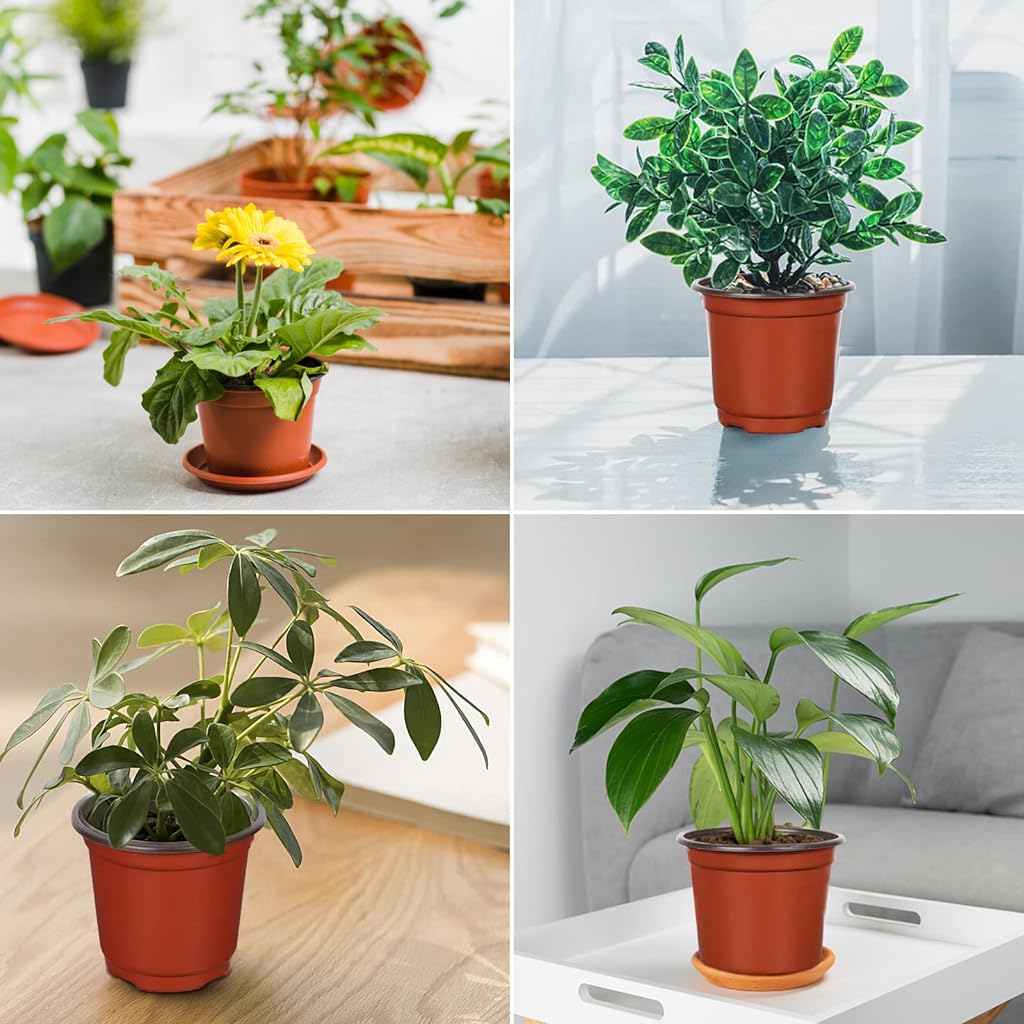 HASTHIP 4.72 Inches Flower Pot 50pcs Plant Pot with Draining Holes Seed Nurserying Pot Plastic Flower Pot Plant Pot