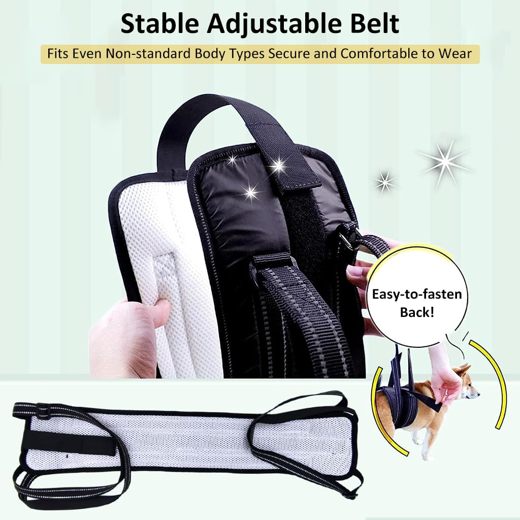 Qpets Dog Lift Harness Rear Leg Use Lifting Harness for Dog Rear Legs Support Adjustable Length and Size Rear Legs Dog Wheelchair for Back Legs for Aging Dog, Disabled, Injured Dog(Size, L)