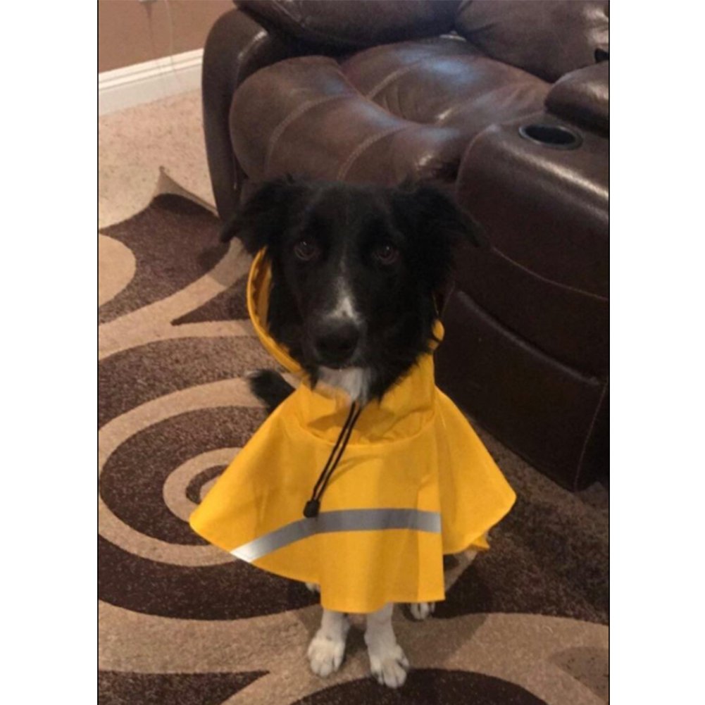 Qpets Dog Raincoat Hooded Slicker Poncho for Medium Large Dogs Golden Retriever Labradoodle Dog Raincoat Rain Jacket Poncho Hoodies with Strip Reflective(M)