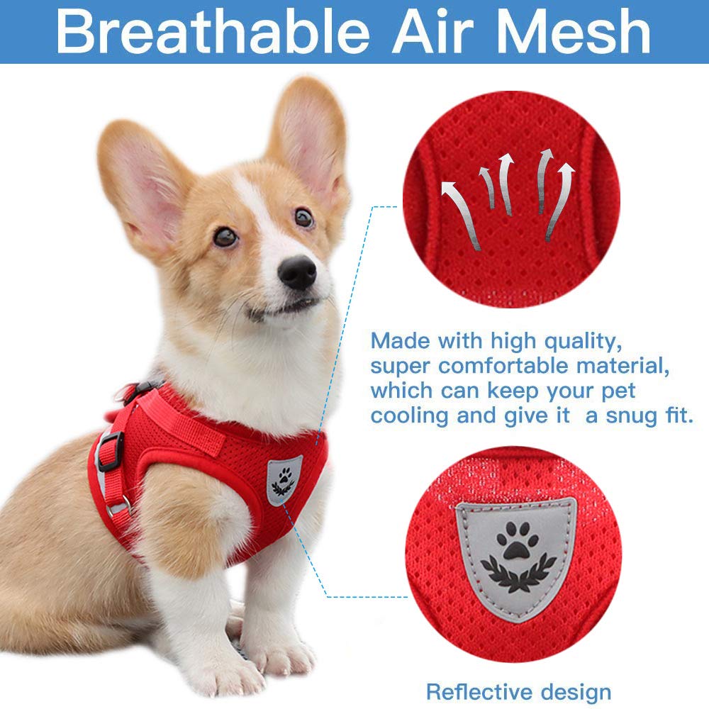 Qpets Dog Harness for Large Dogs, Adjustable Dog Belt with Safety Reflective Strip, Breathable Mesh Fabric Cat Belt, Dog Vest Harness with Leash (Suitable for 6-9 kg)