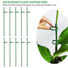 HASTHIP 10pcs Plant Stakes Suport, Reusable Palstic 30cm Plant Stake Flower Support Stake Rings, Adjustable Plant Support Sticks for Phalaenopsis Orchid Single Stem Flowers Amaryllis Peony Lily HASTHIP 10pcs Plant Stakes Suport, Reusable Palstic 30cm Plant Stake Flower Support Stake Rings, Adjustable Plant Support Sticks for Phalaenopsis Orchid Single Stem Flowers Amaryllis Peony Lily