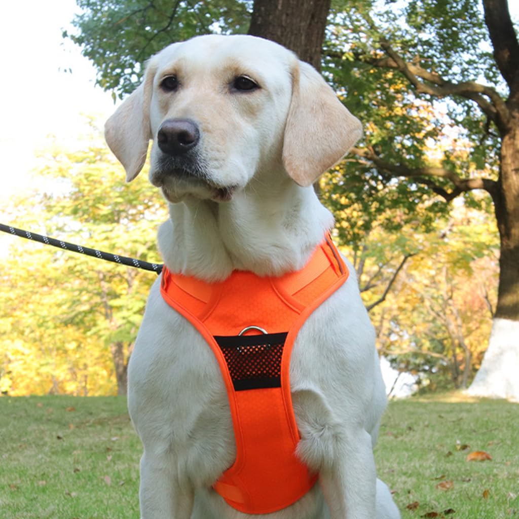 Qpets Dog Belt, Walk Dog Harness, Dog Harness for Large Dogs, Oxford Fabric Dog Vest Chest Harness with Seat Belt Lock Buckle (L, Min 18KG - Max 30KG)