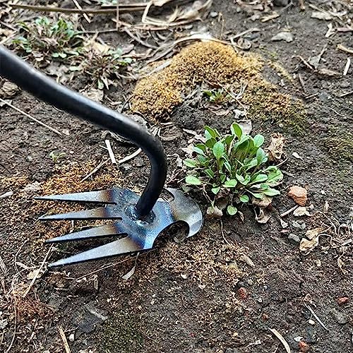HASTHIP® Weeder Hand Tool, 35cm Garden Weeding Tool Steel 4-Claws Weeder Hand Tool, Portable Weed Puller, Manual Weed Puller for Lawn, Garden, Plant Pot 2 PCS