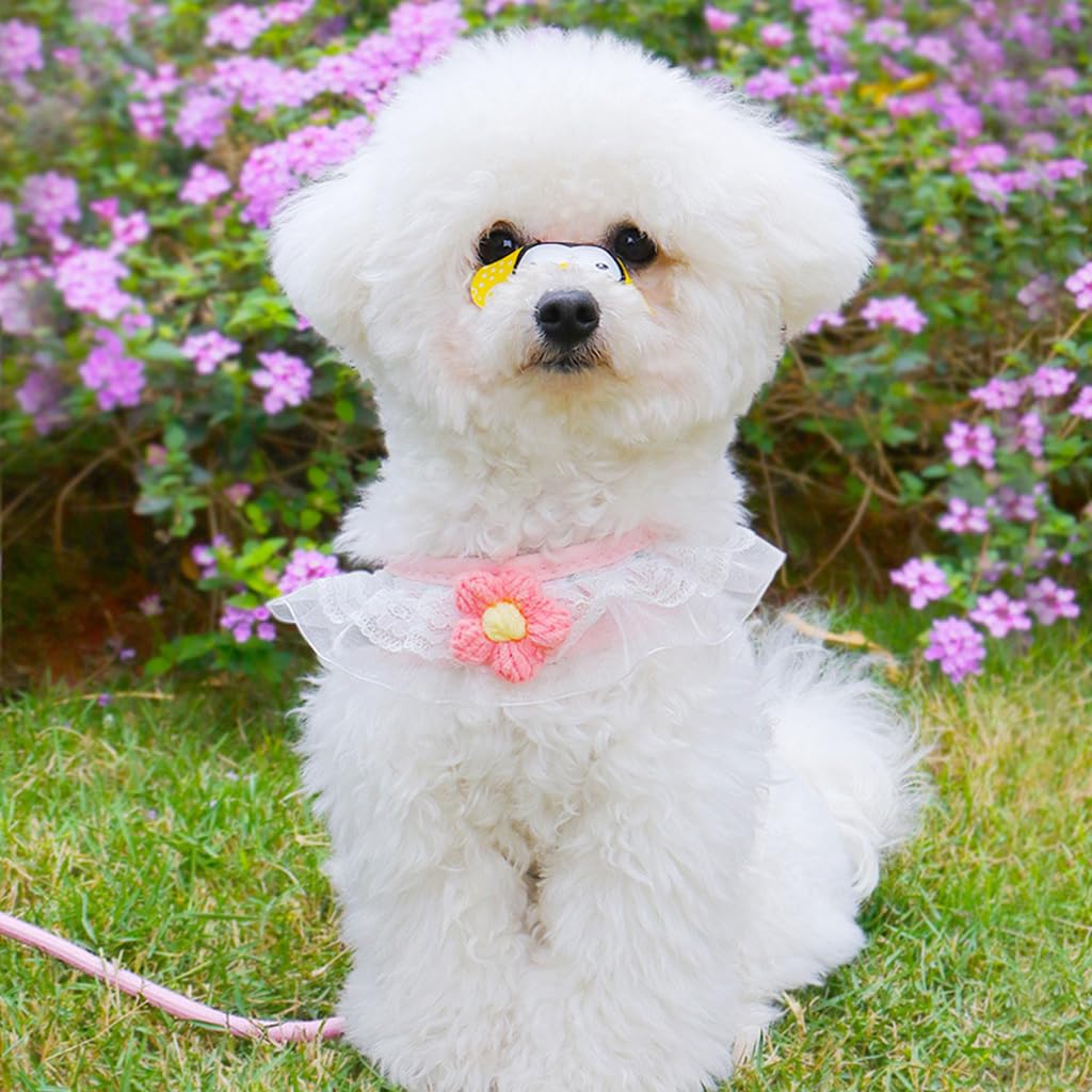 Qpets Cat Harness with Leash, Cute Flower Cat Belt Print Pink Pet Harness for Cat, Fashion Breathable Cat Leash with Harness Small Pet Walking Harness (S, Recommended Weight: 1.5-3.5KG)