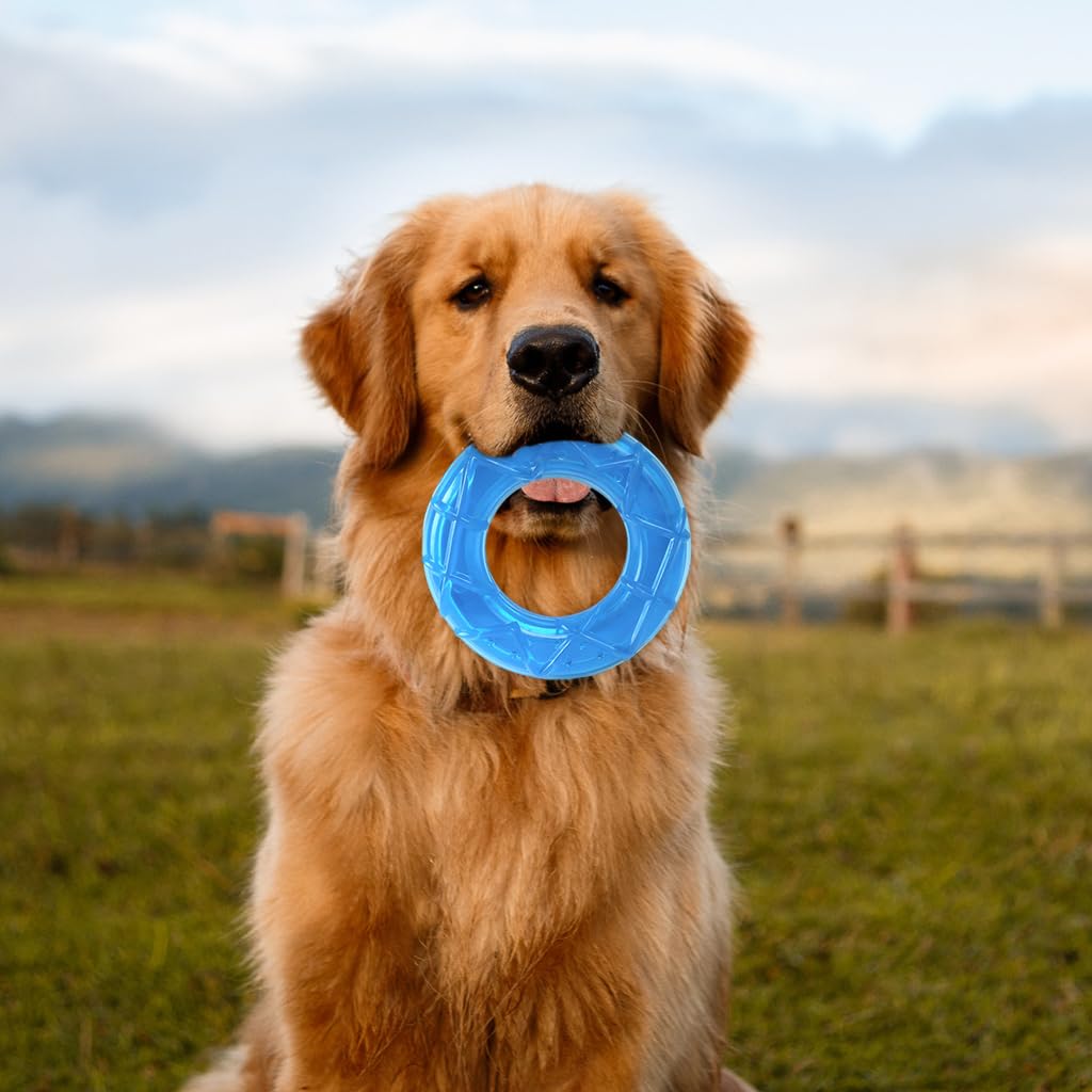 Qpets Pet Chew Toy 5 Inches Dog Chew Toy Freezer Safe Cool Water Ring Toy Chew Toy Food-Grade TPR Ring Chew Toy for Dog Summer Cool Ring Chew Toy Water Ring Chew Toy