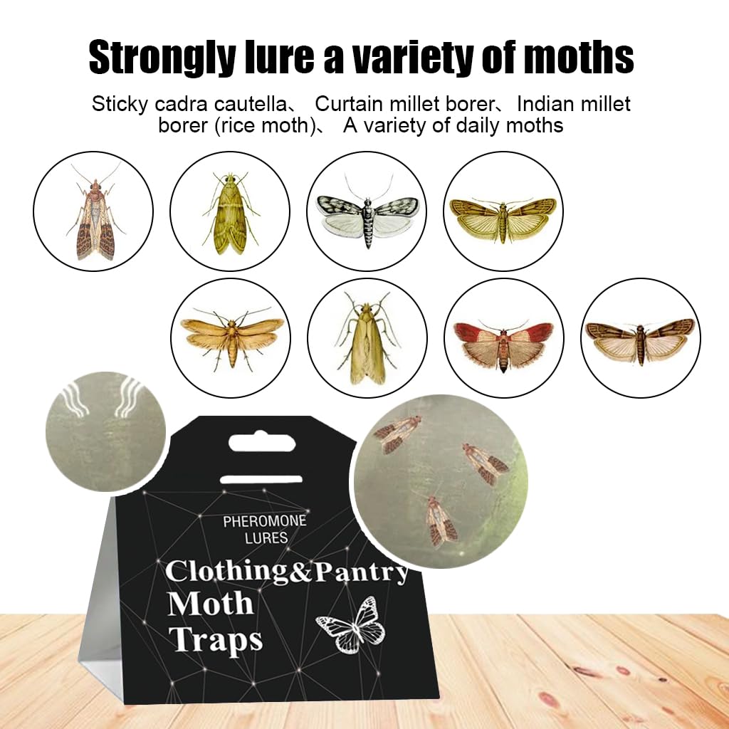 HASTHIP 5Pcs Lightweight Moth Traps - Fly Killer Repellent for Home - Moth Balls & Traps for Home Use - Moth Treatment & Prevention (Non-Toxic) - Moth Traps for Clothes & Pantry