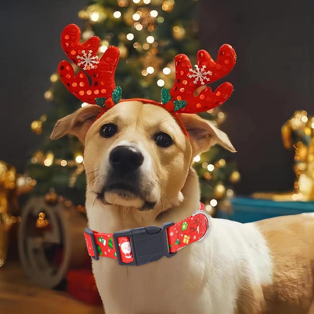 Qpets Christmas Dog Collar, L