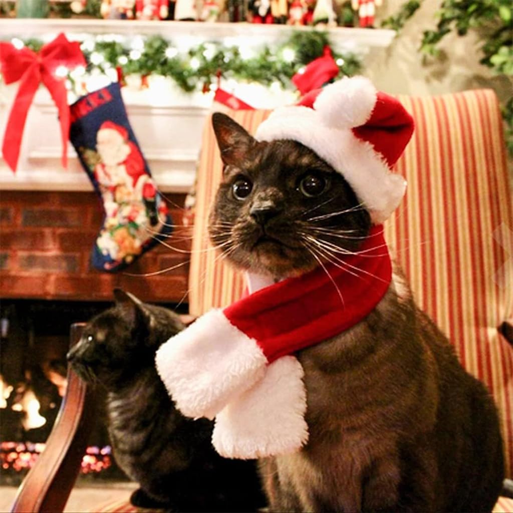 Qpets Christmas Costume for Cat Red Christmas Hat & Scarf for Cat Christmas Dressing Accessory for Cat Puppy, L