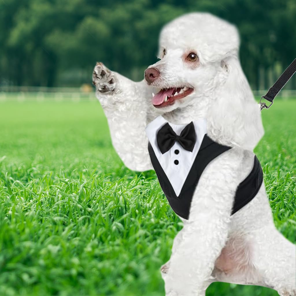 Qpets Dog Tuxedo Harness, Fashionable Dog Tuxedo Harness Set with Traction Rope and Chest Harness, Dog Vest Pet Suit Holiday Dress Puppy Kitten Wearing, M