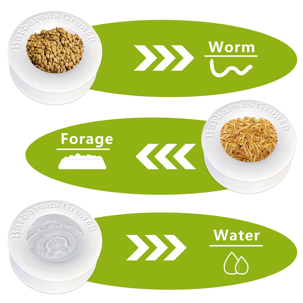 Qpets Pets Food Boxes, PP Feeding Bowl for Reptiles Bearded Dragons Leopard Geckos Feeding Box for Worms, Insects, Anti-Leakage Feeding Box Water Bowl - 2Pcs