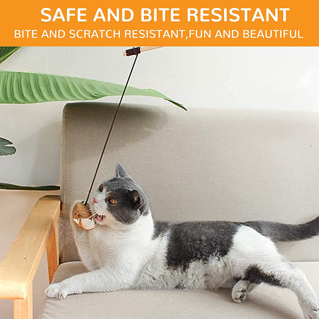 Qpets Premium Cat Toy Interactive Cat Toys Set of 5 Cat Teaser Wand Pet Toy for Cat Activity Fishing Rod with Mouse Natural Feathers Toys for Kittens to Play Cat Games and Toys Mouse Toy