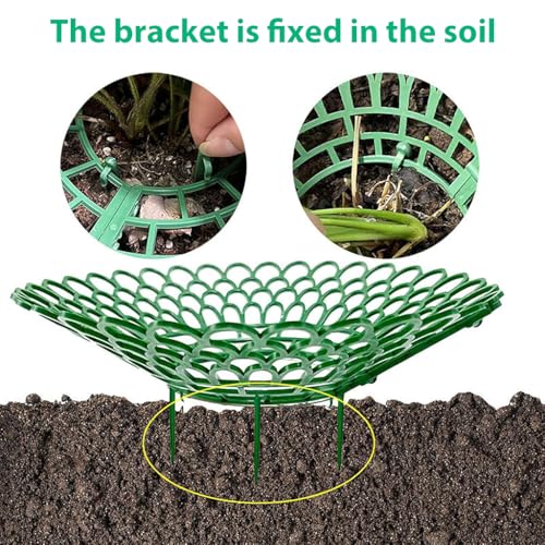 HASTHIP Strawberry Suppoort 10.49 inches Diameter Plastic Strawberry Fruits Support Grid Support Strawberry Fruits Holder Fruits Support Rack Prevent Decay